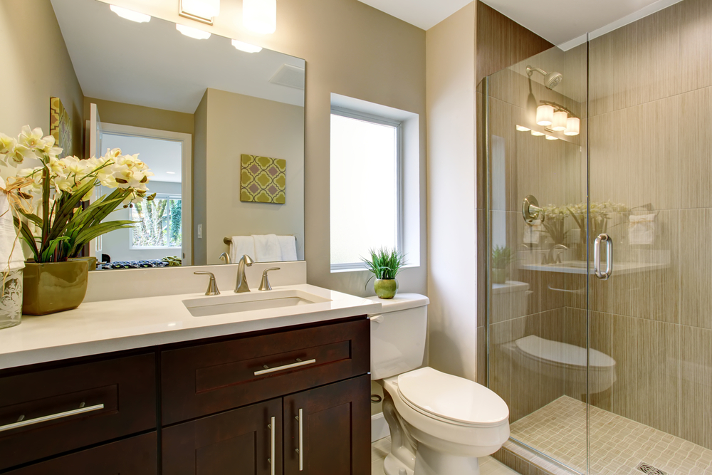A completed bathroom remodel that includes a counter with a sink and faucet, a toilet with a plant on top of the tank, and a shower with a glass enclosure and door.